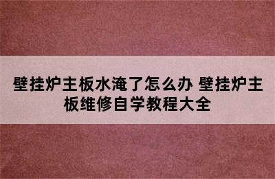 壁挂炉主板水淹了怎么办 壁挂炉主板维修自学教程大全